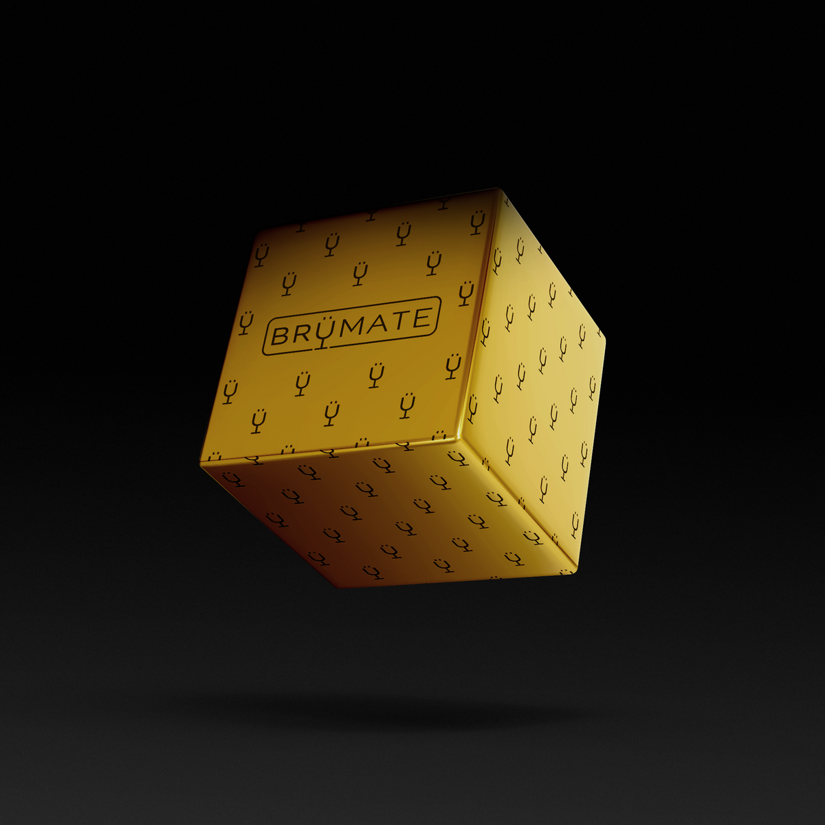premium-mystery-item-39-70-value-u4 IMG-1548.png